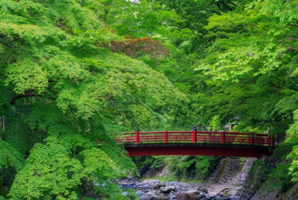 修善寺溫泉（圖片︰japan.travel）