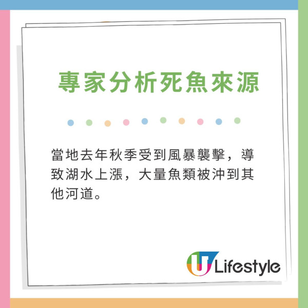 希臘港口浮現100噸死魚釀惡臭！當地進入緊急狀態1個月 專家推測因一現象造成 