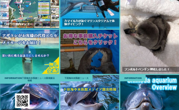 下田海中水族館（圖片︰shimoda-aquarium.com）