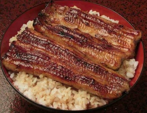 伊豆 櫻家（圖片︰digjapan.travel）