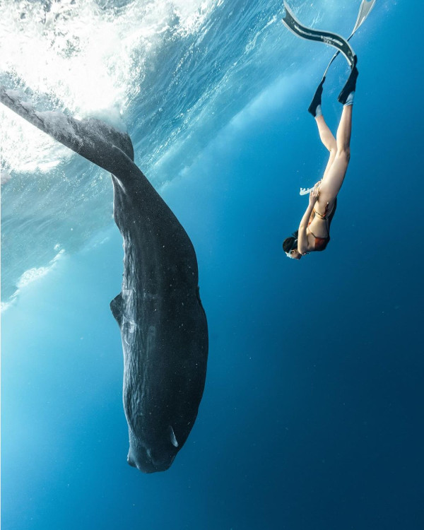 劉佩玥IG消失一個月終於上水!突然長文揭神隱原因!網民讚又靚咗