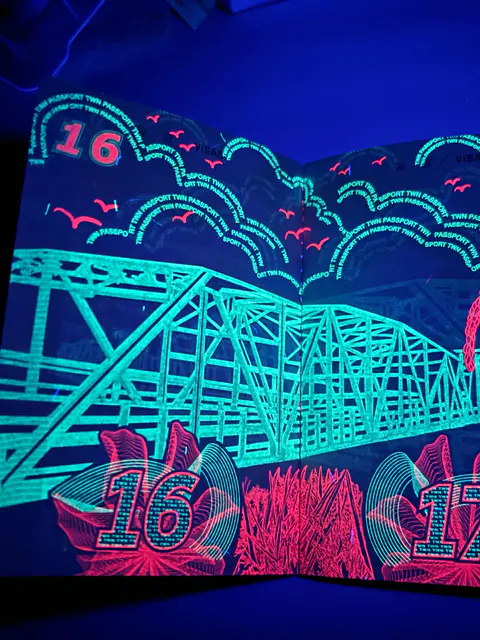 網民發現護照驚人絕美一面!紫外光下每頁都有不同設計 網民讚具本土特色