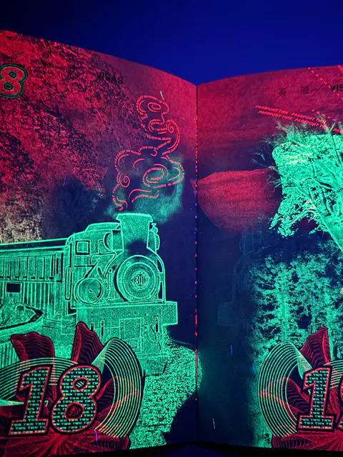 網民發現護照驚人絕美一面!紫外光下每頁都有不同設計 網民讚具本土特色