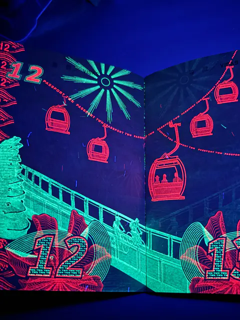 網民發現護照驚人絕美一面!紫外光下每頁都有不同設計 網民讚具本土特色