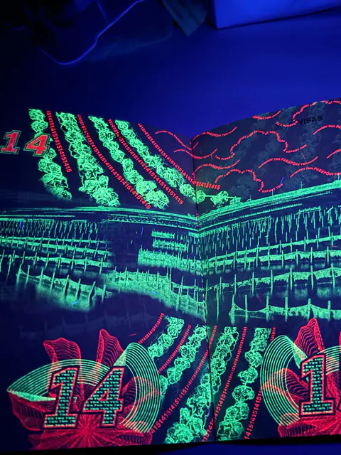 網民發現護照驚人絕美一面!紫外光下每頁都有不同設計 網民讚具本土特色