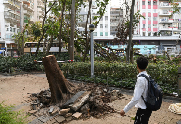 颱風摩羯｜回顧近35年颱風「殺傷力」驚人！歷代最強颱風曾奪183人命