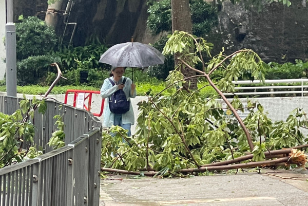 颱風摩羯｜回顧近35年颱風「殺傷力」驚人！歷代最強颱風曾奪183人命