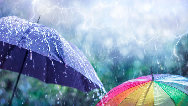 颱風樺加沙｜打風落雨衣物濕笠笠點搞？9大家居小貼士極速乾衣/乾鞋車內抽濕無難度