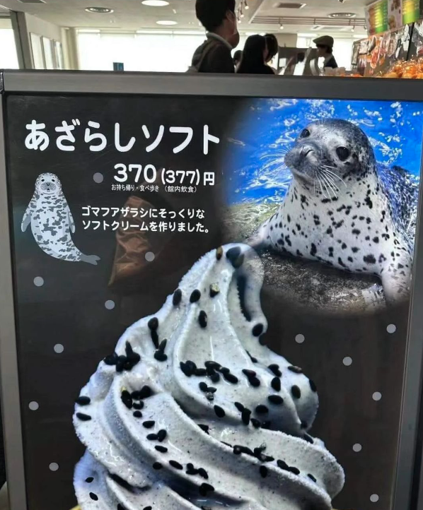 位於神奈川的新江之島水族館最近推出「海豹雪糕」。（網上圖片）