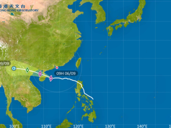 颱風摩羯｜48宗塌樹1宗水浸！打風車保包唔包？即睇3大關鍵/預防貼士