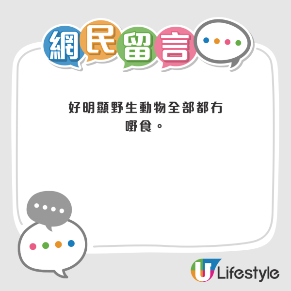 尖沙咀名店外牆驚見馬騮 大模廝樣行走震驚路人：馬騮都放假過節