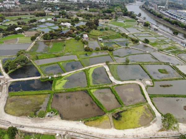 上水好去處 塱原濕地（圖片來源：發展局）