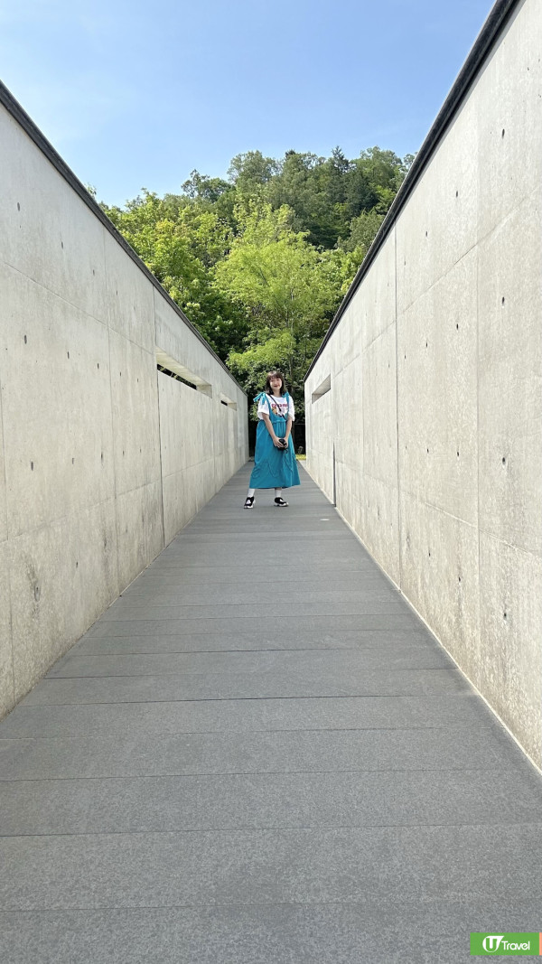 京都近郊｜安藤忠雄打造森林美術館「和久傳之森」人均HK睇清水模建築、安野光雅畫作 