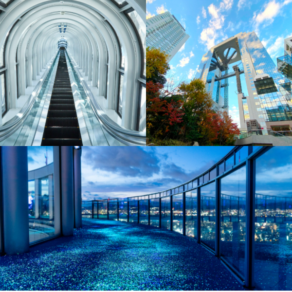 相片來源：Facebook@あべのハルカス、Facebook@Spaworld、大阪觀光局、Teamlab長居植物園官網、梅田藍天大廈空中庭園展望台官網、Cup noodles museum offical、環球影城官網、Facebook@USJ、Rankingoo