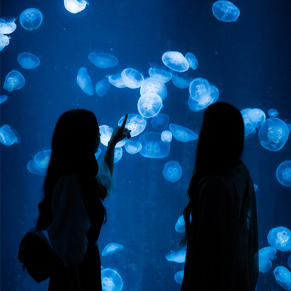 相片來源：Facebook@あべのハルカス、Facebook@Spaworld、大阪觀光局、Teamlab長居植物園官網、梅田藍天大廈空中庭園展望台官網、Cup noodles museum offical、環球影城官網、Facebook@USJ、Rankingoo