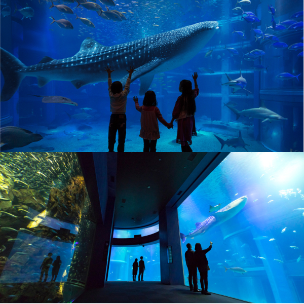 相片來源：Facebook@あべのハルカス、Facebook@Spaworld、大阪觀光局、Teamlab長居植物園官網、梅田藍天大廈空中庭園展望台官網、Cup noodles museum offical、環球影城官網、Facebook@USJ、Rankingoo