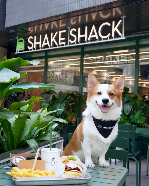 Shake Shack圓方店結業 全港門店減至7間