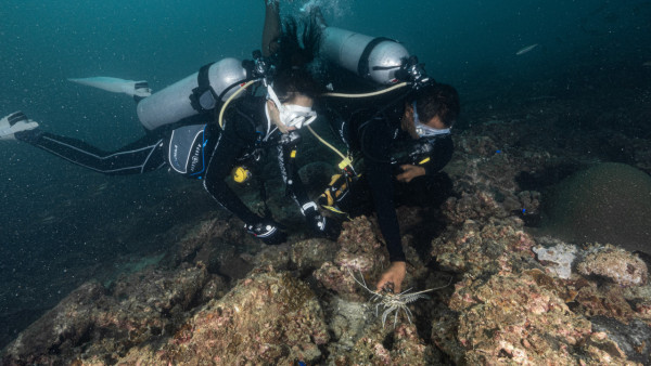 【飛女】泰國喀比chill住放假 – 2