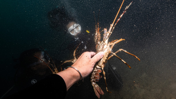 【飛女】泰國喀比chill住放假 – 2