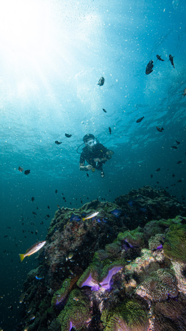 【飛女】泰國喀比chill住放假 – 2