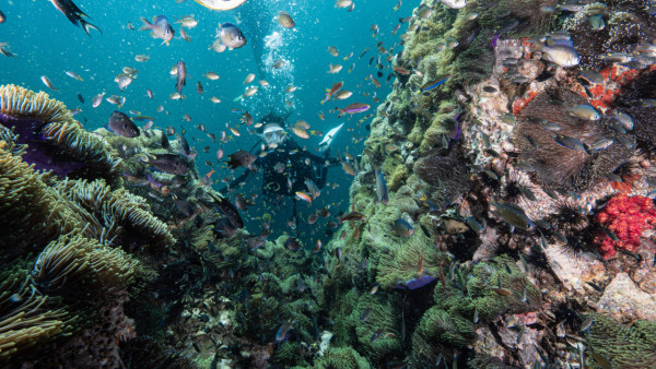 【飛女】泰國喀比chill住放假 – 2