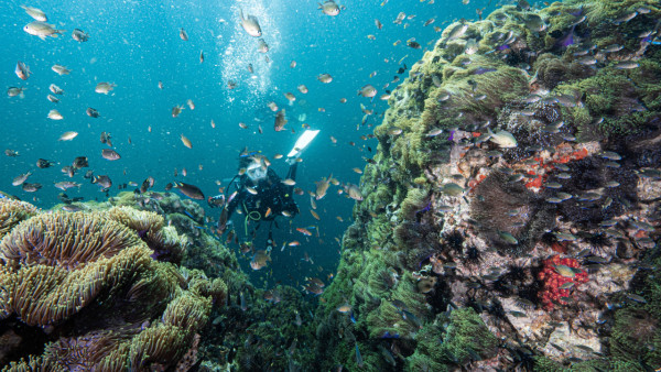 【飛女】泰國喀比chill住放假 – 2