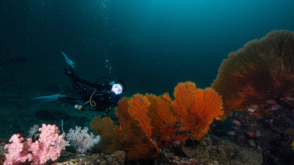 【飛女】泰國喀比chill住放假 – 2