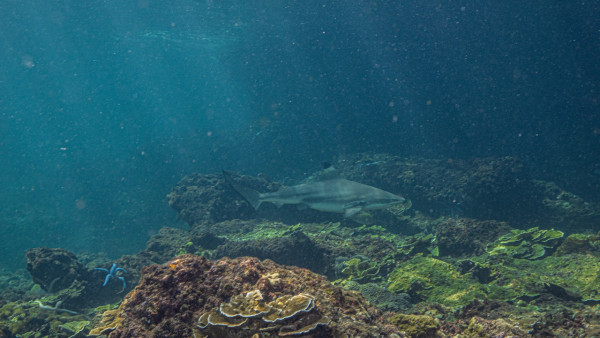 【飛女】泰國喀比chill住放假 – 2