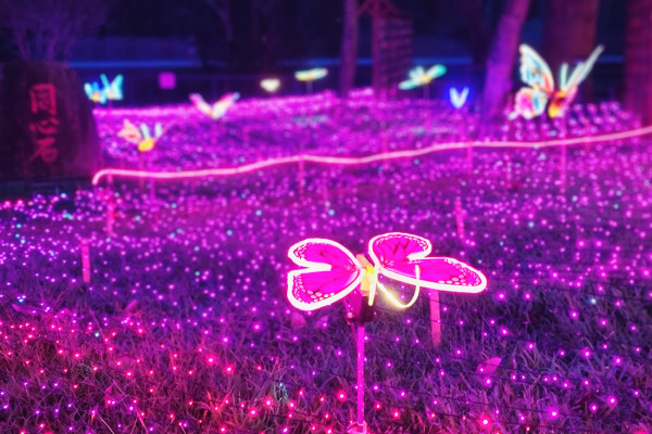 觀瀾湖藝術燈光節（圖片︰missionhillschina.com）