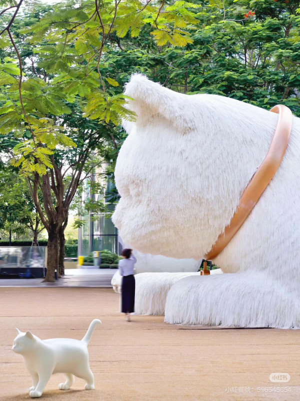 深圳灣萬象城中秋貓貓展（圖片︰小紅書 @深圳灣萬象城）