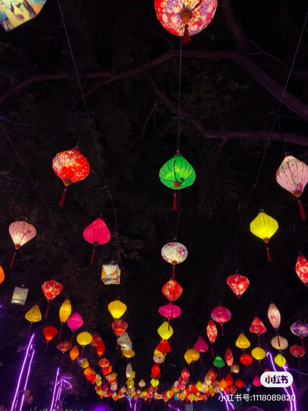 海上田園夢幻之夜嘉年華（圖片︰小紅書 @沒煩惱很幸福）