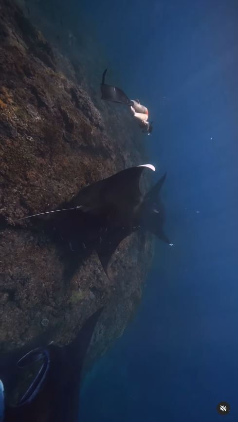 女生獨遊峇里島遇3大慘事 分享用餐小細節/力勸一定要買XX 