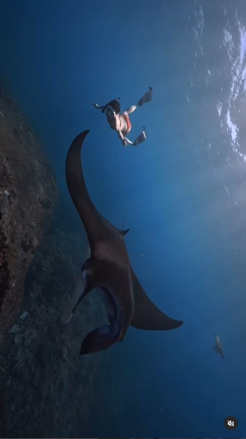 女生獨遊峇里島遇3大慘事 分享用餐小細節/力勸一定要買XX 