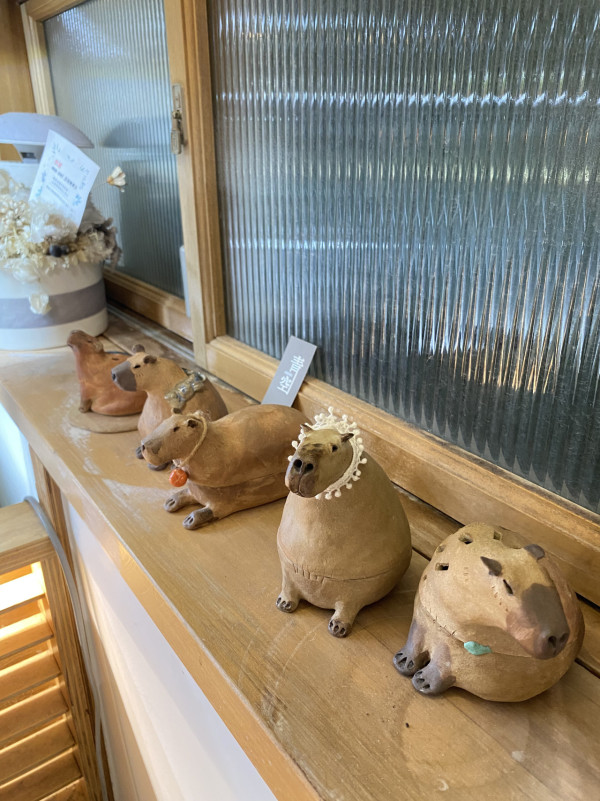 台南文青深度遊行程│復古歐風/水豚cafe/大型文創展