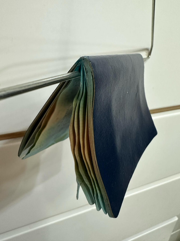 女星誤幫護照「沖涼」！成本又濕又皺點算好？網民教3招急救 