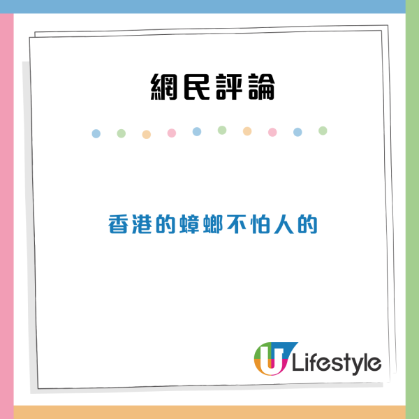 香港食店豆腐砧板驚現數十隻蟑螂爬行！極大量鋪滿木板 網民大叫嘔心