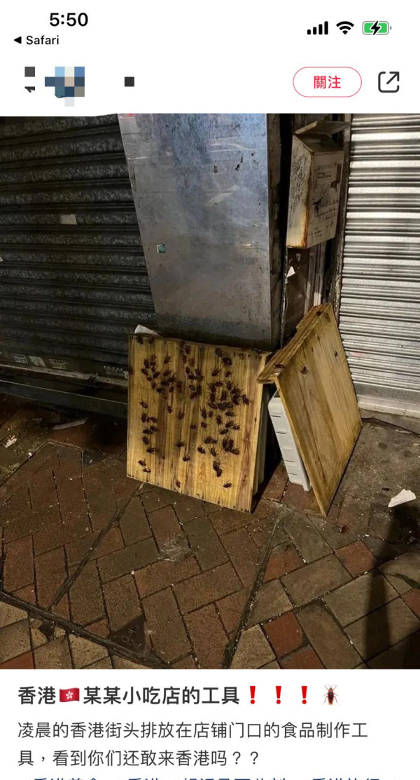 香港食店豆腐砧板驚現數十隻蟑螂爬行！極大量鋪滿木板 網民大叫嘔心