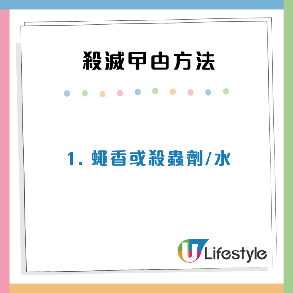 香港食店豆腐砧板驚現數十隻蟑螂爬行！極大量鋪滿木板 網民大叫嘔心