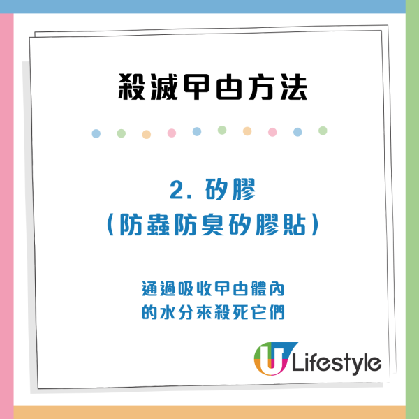 香港食店豆腐砧板驚現數十隻蟑螂爬行！極大量鋪滿木板 網民大叫嘔心