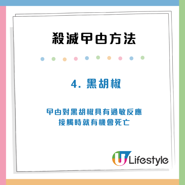 香港食店豆腐砧板驚現數十隻蟑螂爬行！極大量鋪滿木板 網民大叫嘔心