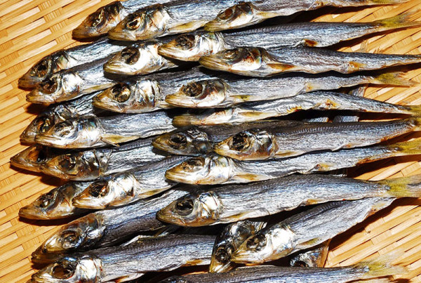 日本人票選最不喜歡食物排行榜 第一名極具爭議/重口味昆蟲海鮮入選 