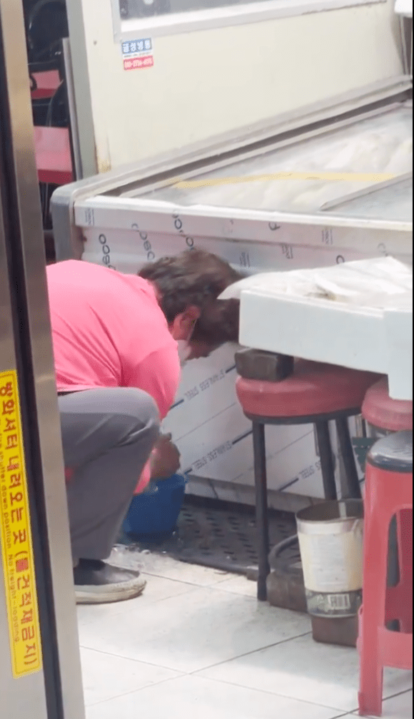 韓國著名夜市魚檔回收冰粒 噁心重用 處理手法令人憤怒！ 