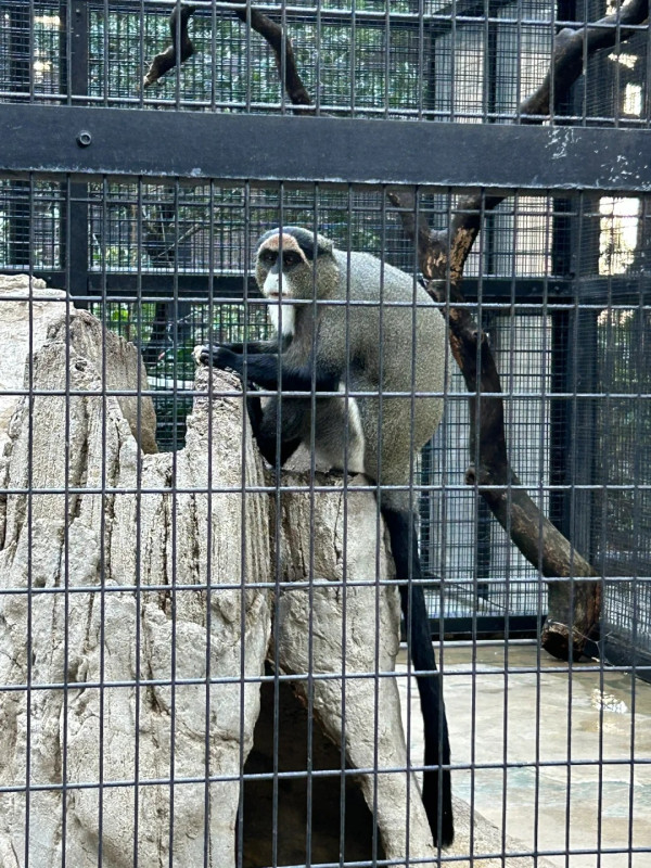 圖片來源：香港動植物公園 小紅書@彤彤