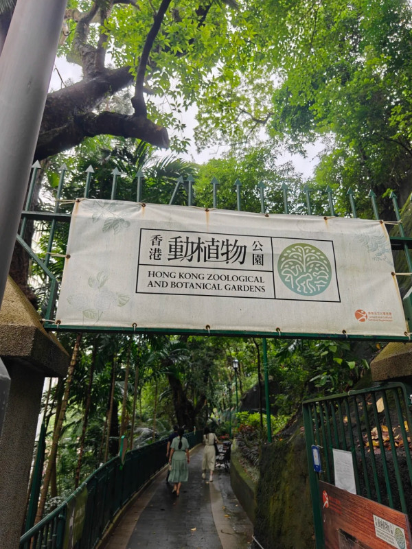 圖片來源：香港動植物公園 小紅書@清夜忆扬州