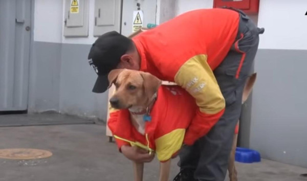 秘魯流浪狗機智擊退油站劫匪 英勇舉動成功逆轉命運！ 