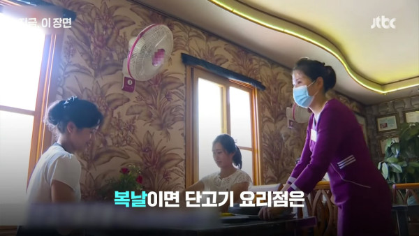 北韓電視台拍攝狗肉比賽節目 料理種類豐富  金正恩父曾親自教煮狗肉 