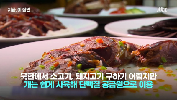 北韓電視台拍攝狗肉比賽節目 料理種類豐富  金正恩父曾親自教煮狗肉 