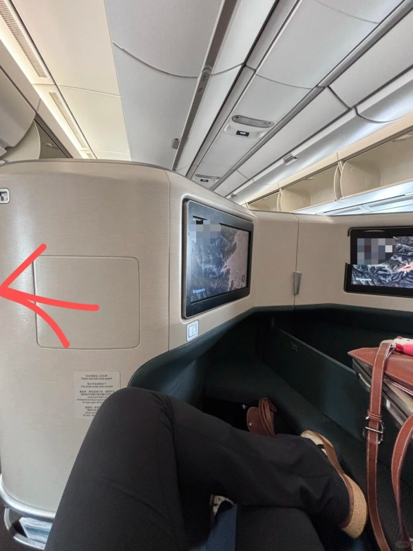 39歲歌手飛機上幫網民搬行李 事主秒被圈粉:佢真人好靚仔!