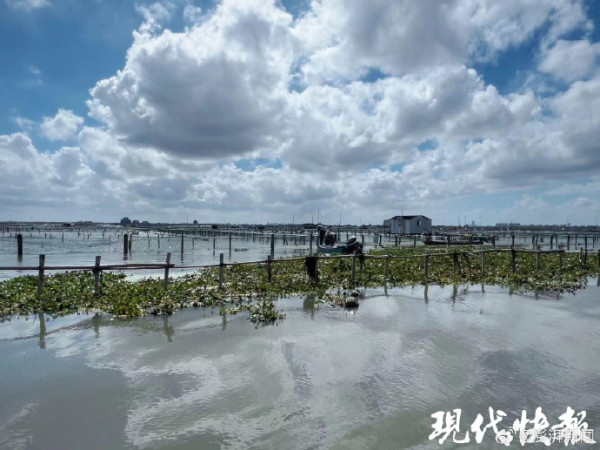 來源：微博@澎湃新聞