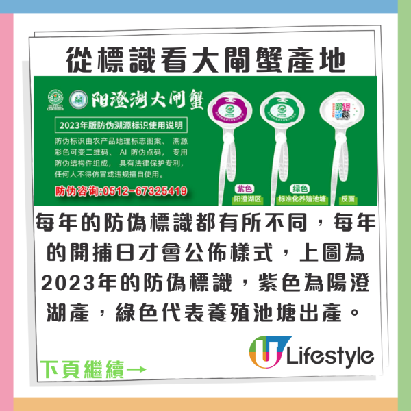 陽澄湖大閘蟹未開捕假貨已開賣！ 1招分大閘蟹真假/公乸/最佳品蟹期懶人包 